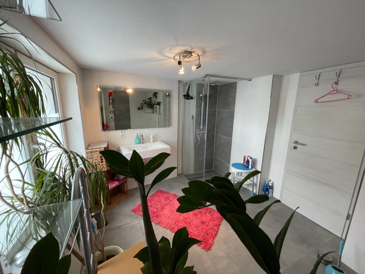 Willingenvakanties,Modern Quality Apartments Restyled Nov 2022 Willingen 2023 Exterior photo
